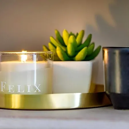 Felix فندق 3*