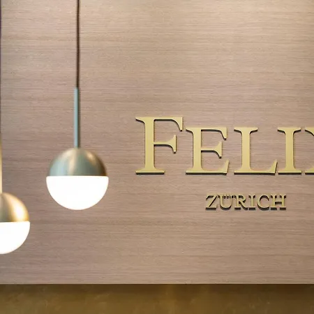 Felix فندق 3*